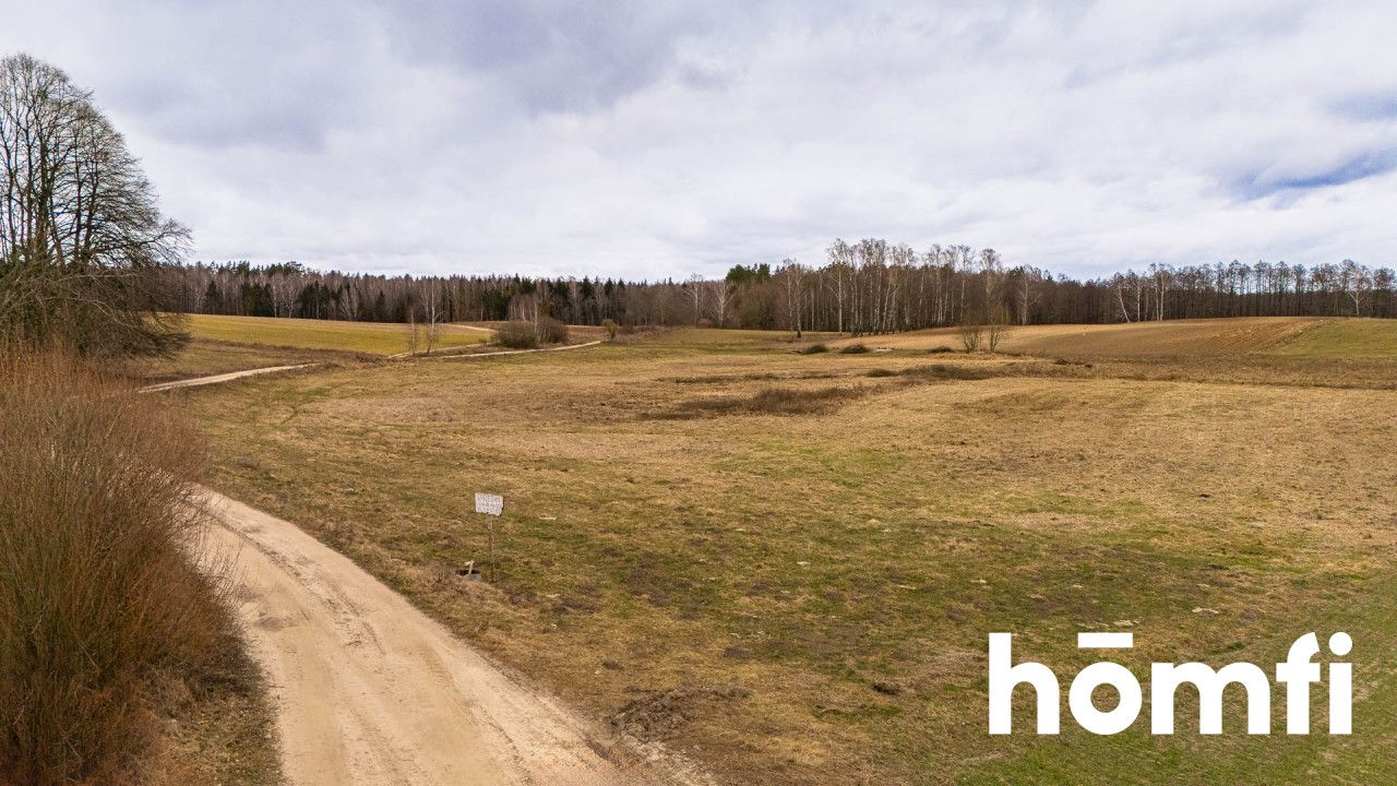 Atrakcyjna działka 2,23 ha na Mazurach - Działka - Sprzedaż - Giżycki, Ryn / Kronowo