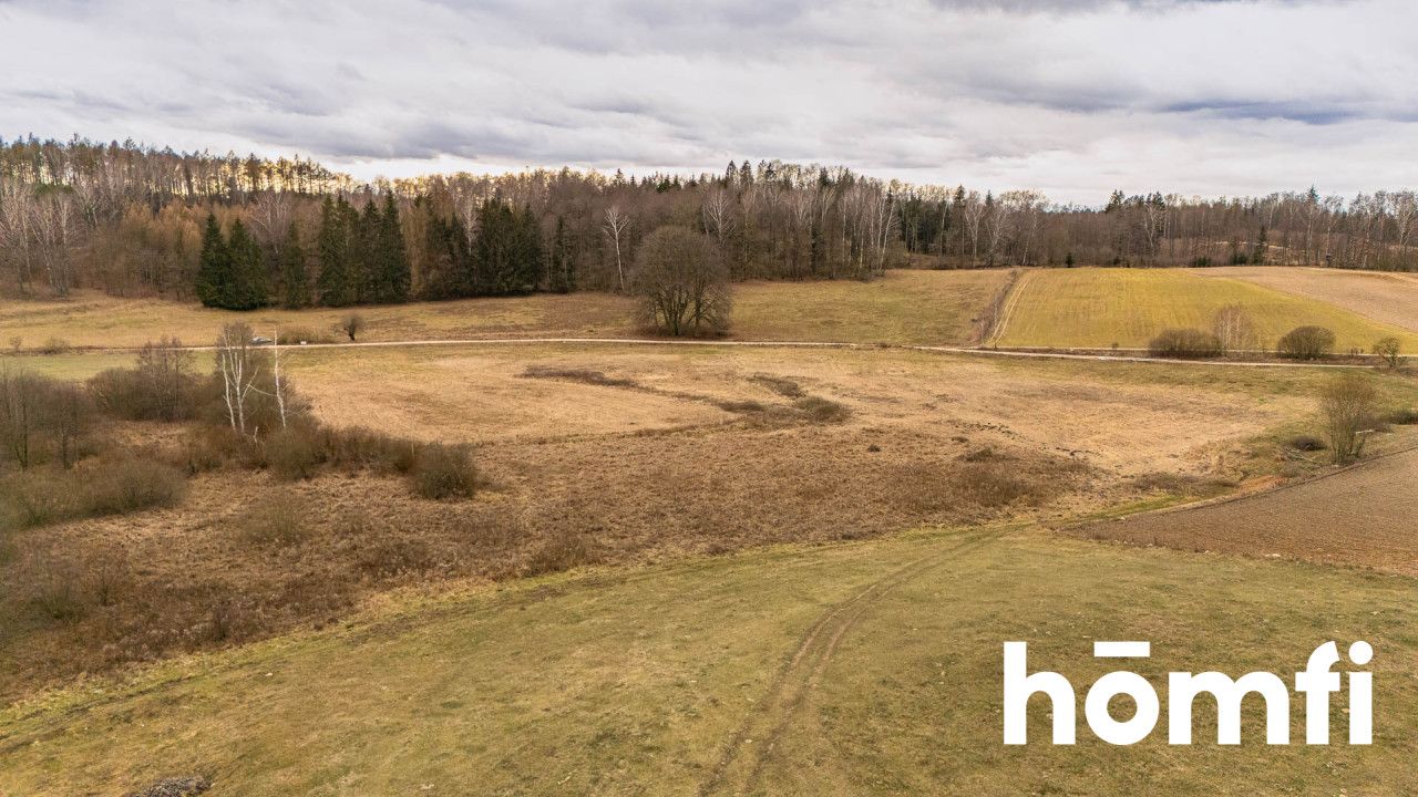 Atrakcyjna działka 2,23 ha na Mazurach - Działka - Sprzedaż - Giżycki, Ryn / Kronowo