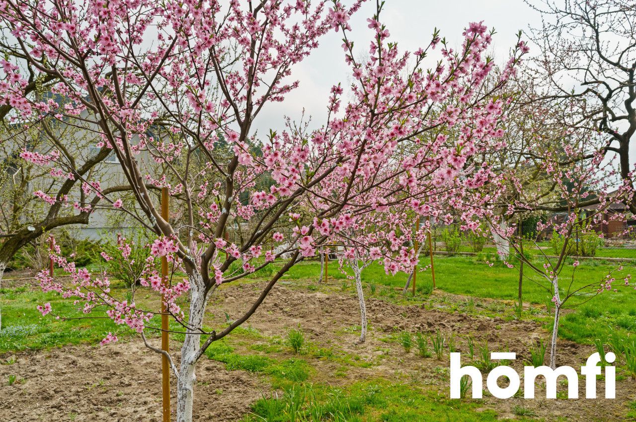 Przestronny dom jednorodzinny – Czernin k. Sztumu - Dom - Sprzedaż - Sztumski, Sztum / Czernin
