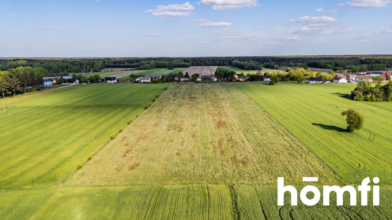 Idealna Inwestycja! 20 Działek Budowlanych 2,14 ha - Działka - Sprzedaż - Radomski, Pionki / Czarna Kolonia