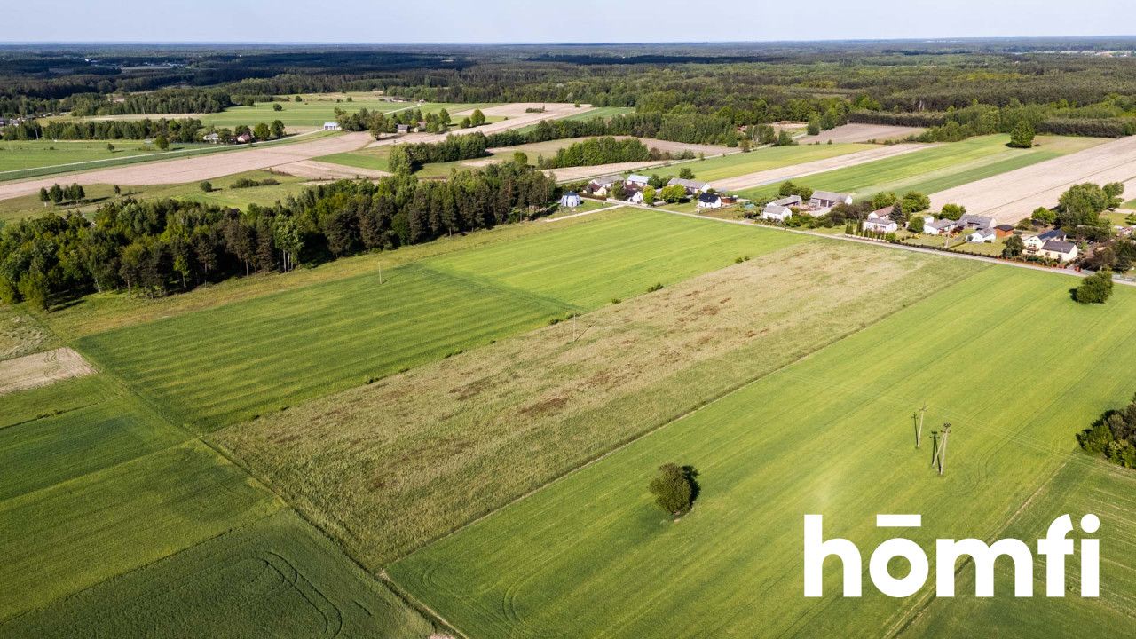 Idealna Inwestycja! 20 Działek Budowlanych 2,14 ha - Działka - Sprzedaż - Radomski, Pionki / Czarna Kolonia