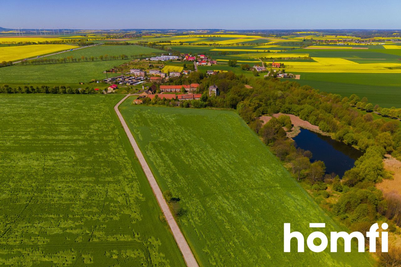 Urokliwy grunt 17 hektarowy z zespołem folwarczno-pałacowym - Działka - Sprzedaż - Legnicki, Chojnów / Budziwojów