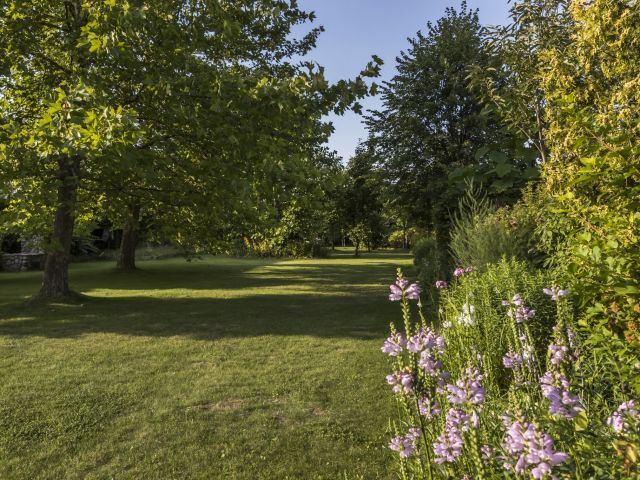 DOM Z MALOWNICZĄ DZIAŁKĄ W NIEPOWTARZALNYM STYLU - Dom - Sprzedaż - Radomski, Zakrzew / Wacyn