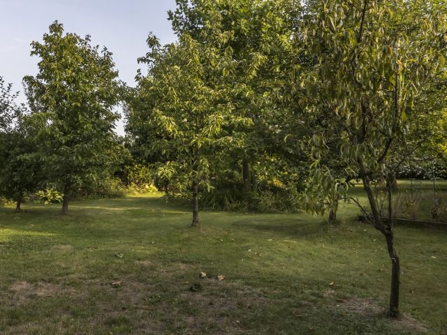 DOM Z MALOWNICZĄ DZIAŁKĄ W NIEPOWTARZALNYM STYLU - Dom - Sprzedaż - Radomski, Zakrzew / Wacyn