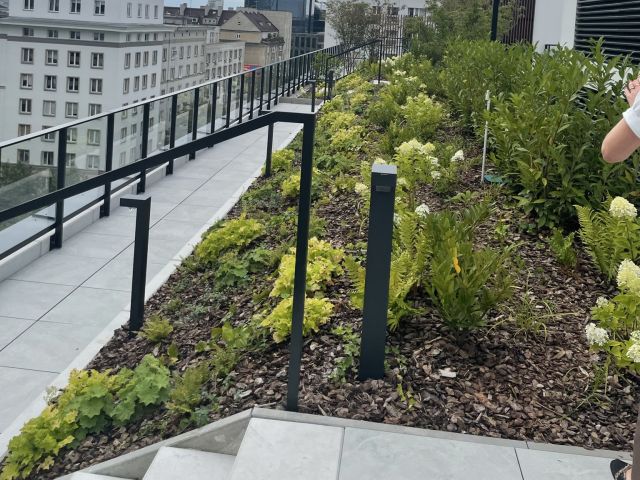 Luxury Apartment in the Heart of Warsaw | Chmielna 108 - Apartment - Sale - Warszawa