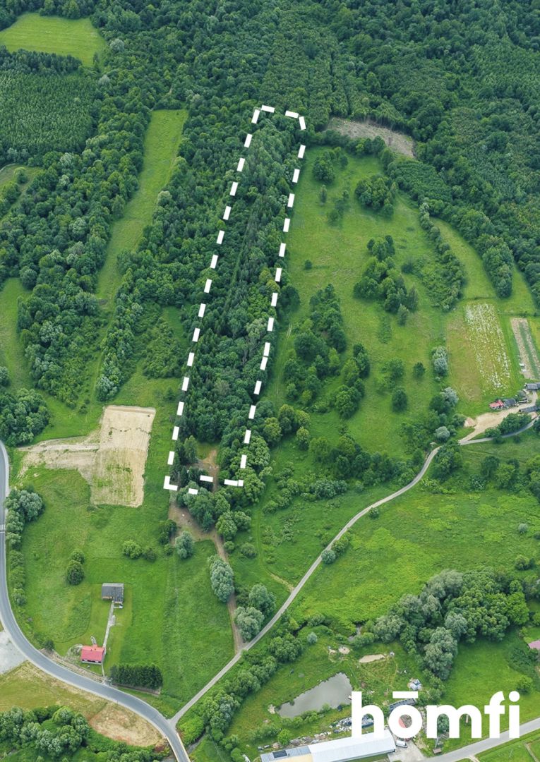 Wooded plot from home - get back to nature! - Дім - Продаж - Przemyski, Dubiecko / Iskań