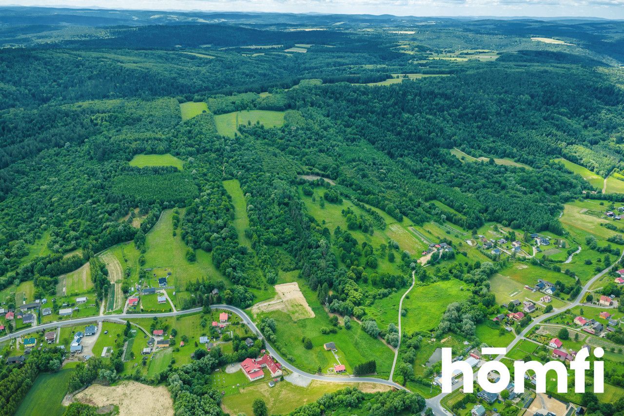 Wooded plot from home - get back to nature! - Дім - Продаж - Przemyski, Dubiecko / Iskań