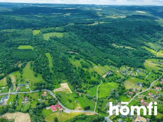 Wooded plot from home - get back to nature! - Дім - Продаж - Przemyski, Dubiecko / Iskań