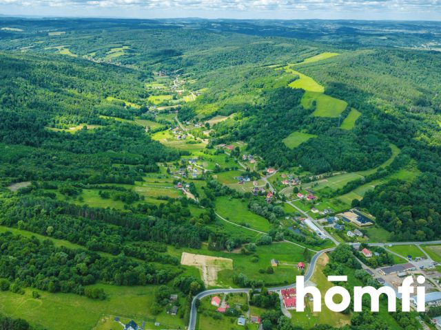 Wooded plot from home - get back to nature! - Дім - Продаж - Przemyski, Dubiecko / Iskań