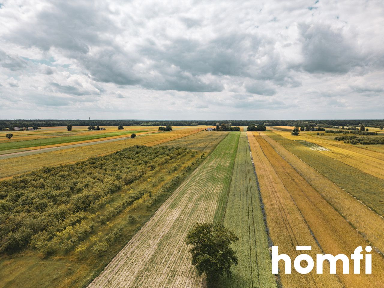 A charming plot of land - Ділянка - Продаж - Łęczyński, Milejów / Ostrówek-Kolonia