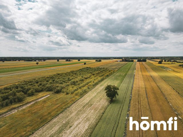 Urokliwa działka siedliskowa - Działka - Sprzedaż - Łęczyński, Milejów / Ostrówek-Kolonia