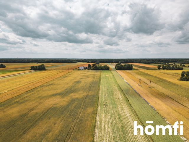 Urokliwa działka siedliskowa - Działka - Sprzedaż - Łęczyński, Milejów / Ostrówek-Kolonia
