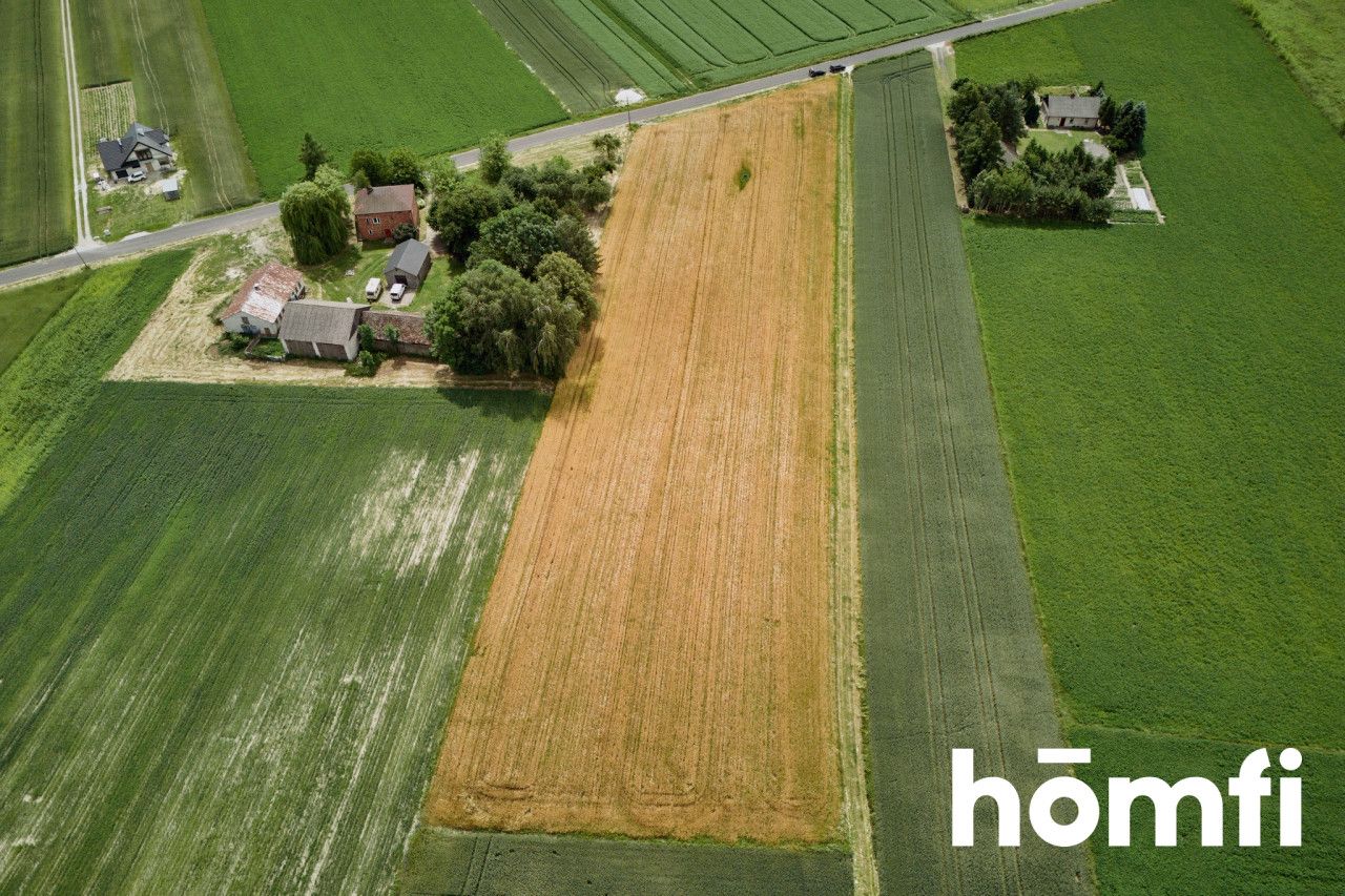 Piękna działka w pobliżu Krasnegostawu - Działka - Sprzedaż - Krasnostawski, Krasnystaw