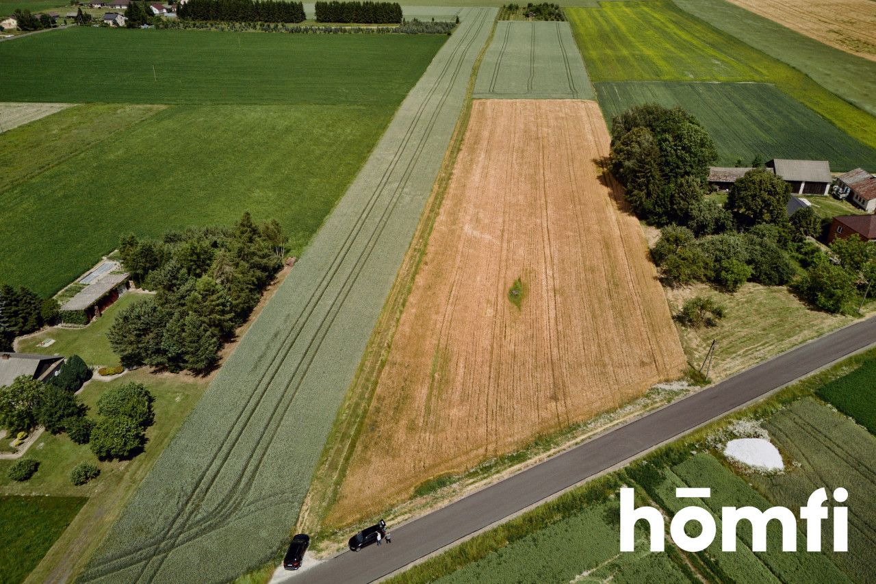 Piękna działka w pobliżu Krasnegostawu - Działka - Sprzedaż - Krasnostawski, Krasnystaw
