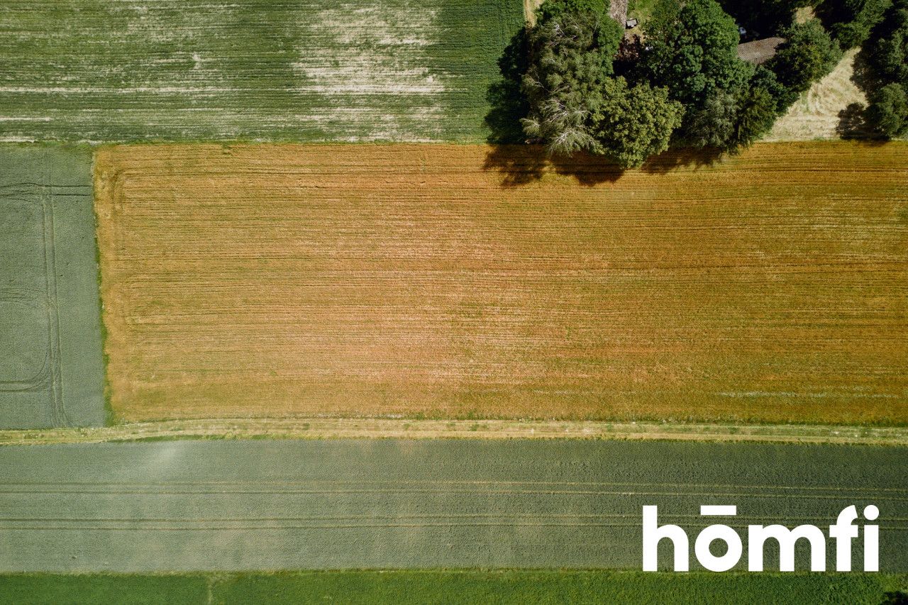 Piękna działka w pobliżu Krasnegostawu - Działka - Sprzedaż - Krasnostawski, Krasnystaw