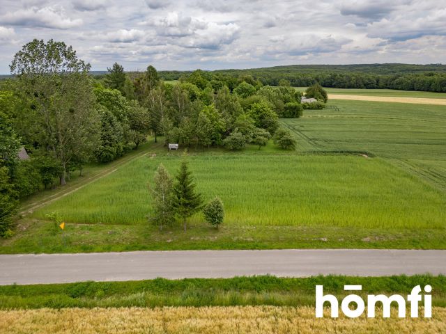 Settlement plot - Plot - Sale - Zamojski, Skierbieszów / Wiszenki-Kolonia