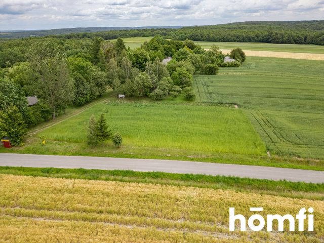 Settlement plot - Plot - Sale - Zamojski, Skierbieszów / Wiszenki-Kolonia
