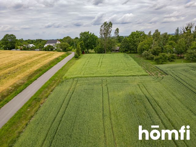 Settlement plot - Plot - Sale - Zamojski, Skierbieszów / Wiszenki-Kolonia