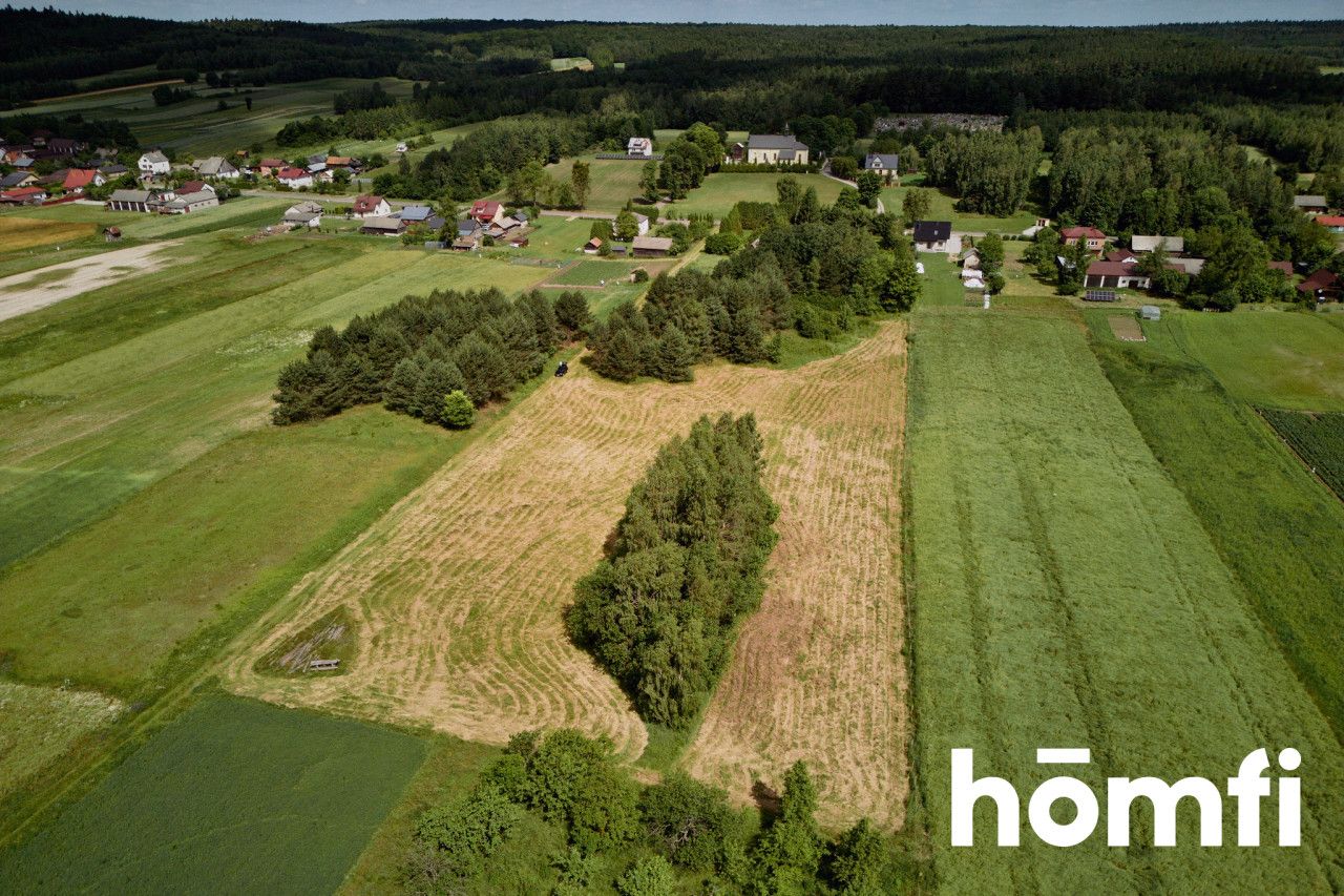 Duża działka Kosobudy - Działka - Sprzedaż - Zamojski, Zwierzyniec / Kosobudy