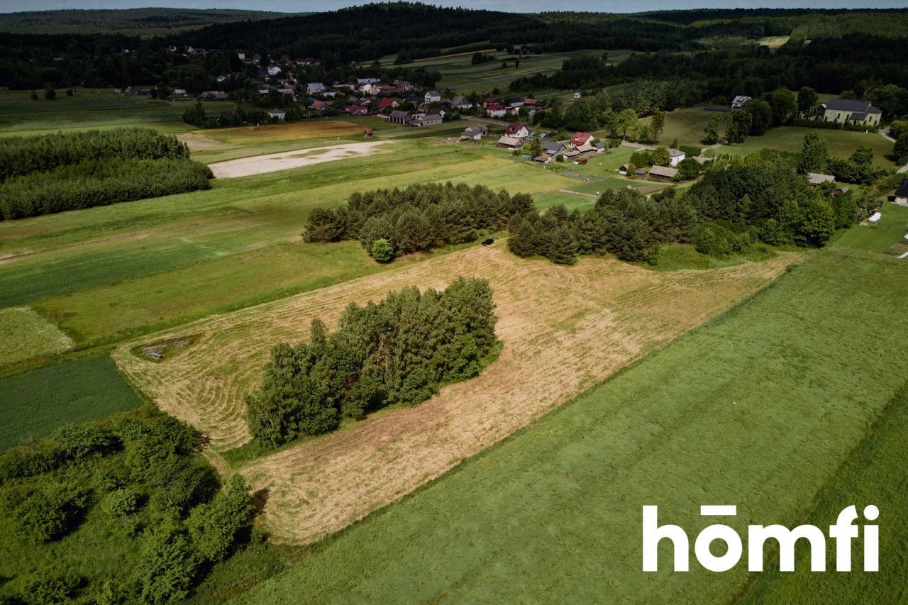 Duża działka Kosobudy - Działka - Sprzedaż - Zamojski, Zwierzyniec / Kosobudy