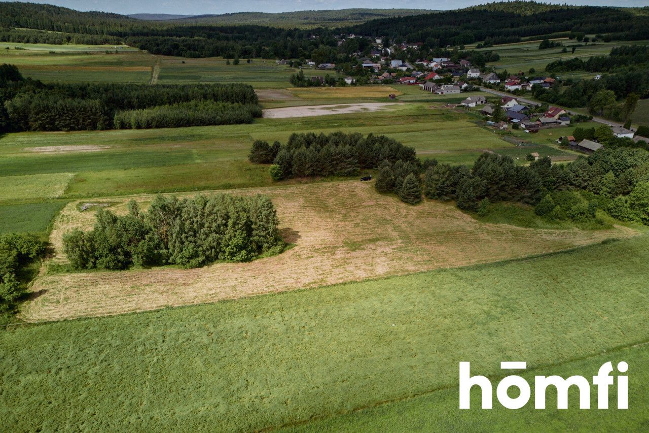 Duża działka Kosobudy - Działka - Sprzedaż - Zamojski, Zwierzyniec / Kosobudy