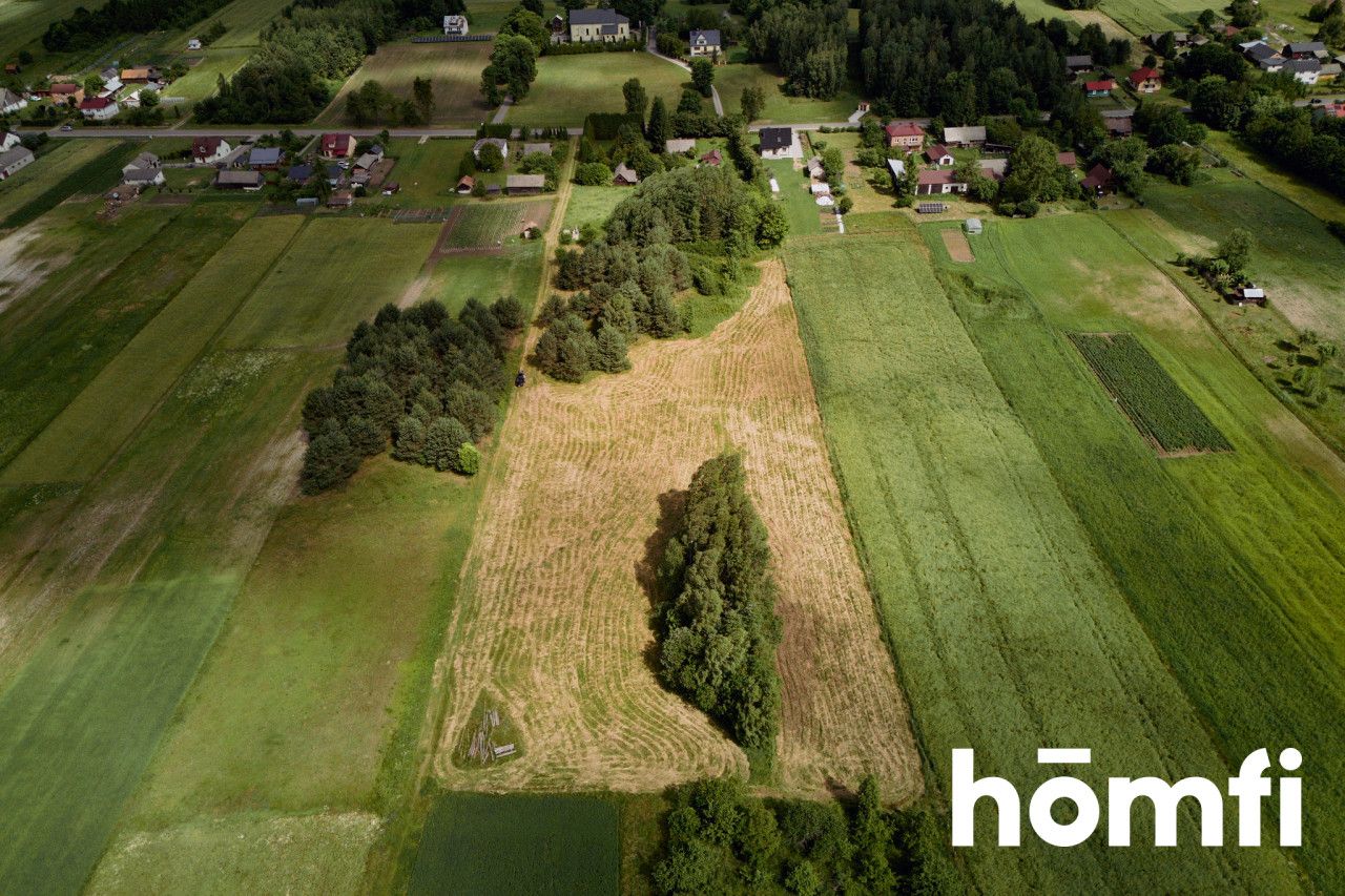 Large plot Kosobudy - Ділянка - Продаж - Zamojski, Zwierzyniec / Kosobudy