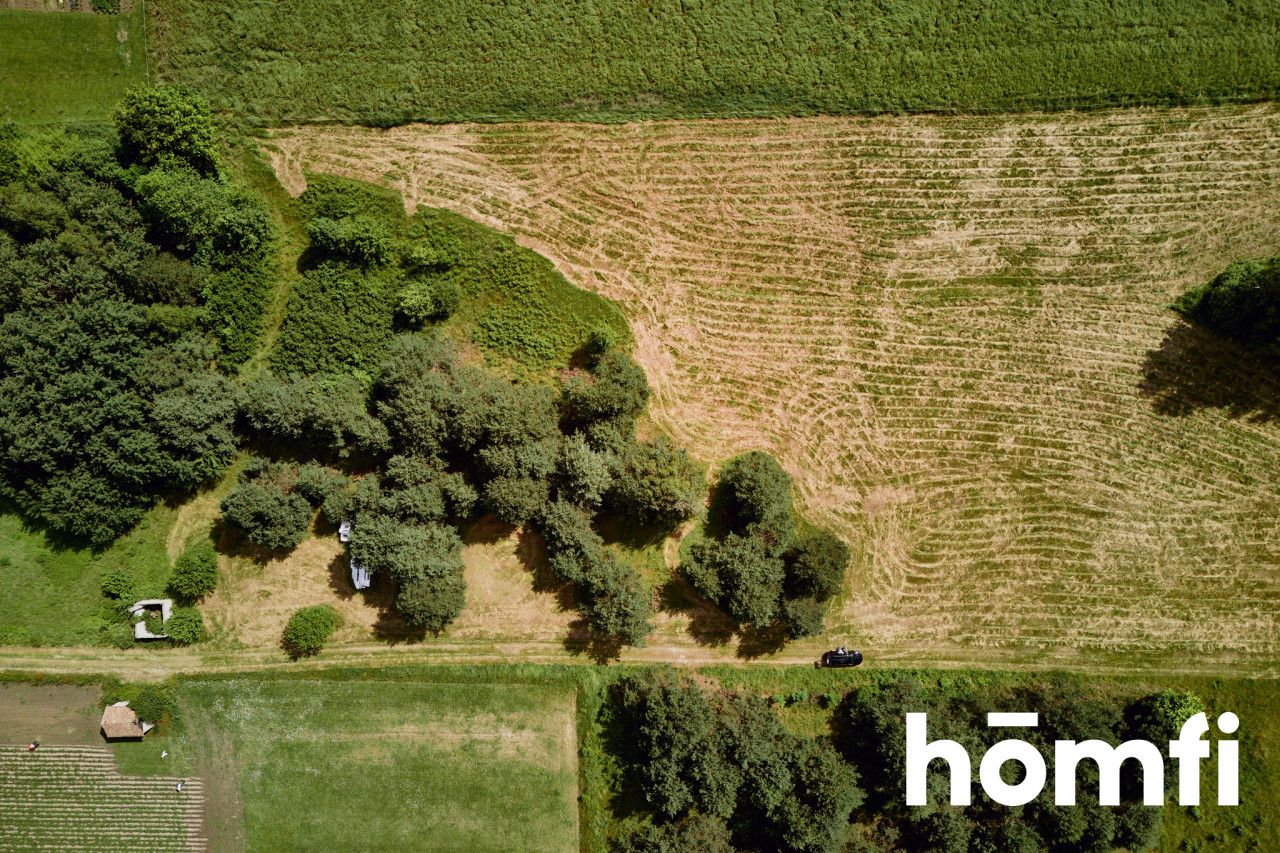 Large plot Kosobudy - Ділянка - Продаж - Zamojski, Zwierzyniec / Kosobudy