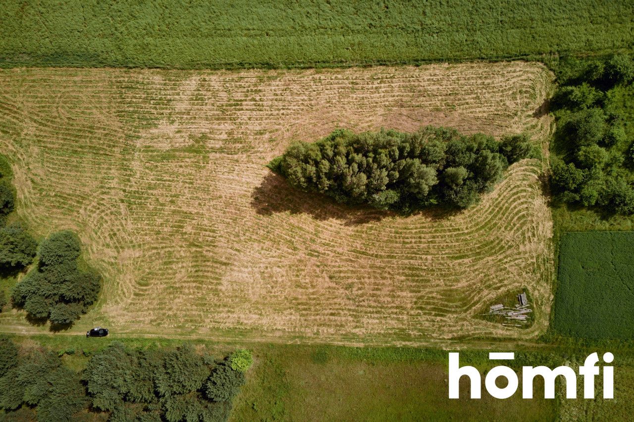 Large plot Kosobudy - Ділянка - Продаж - Zamojski, Zwierzyniec / Kosobudy