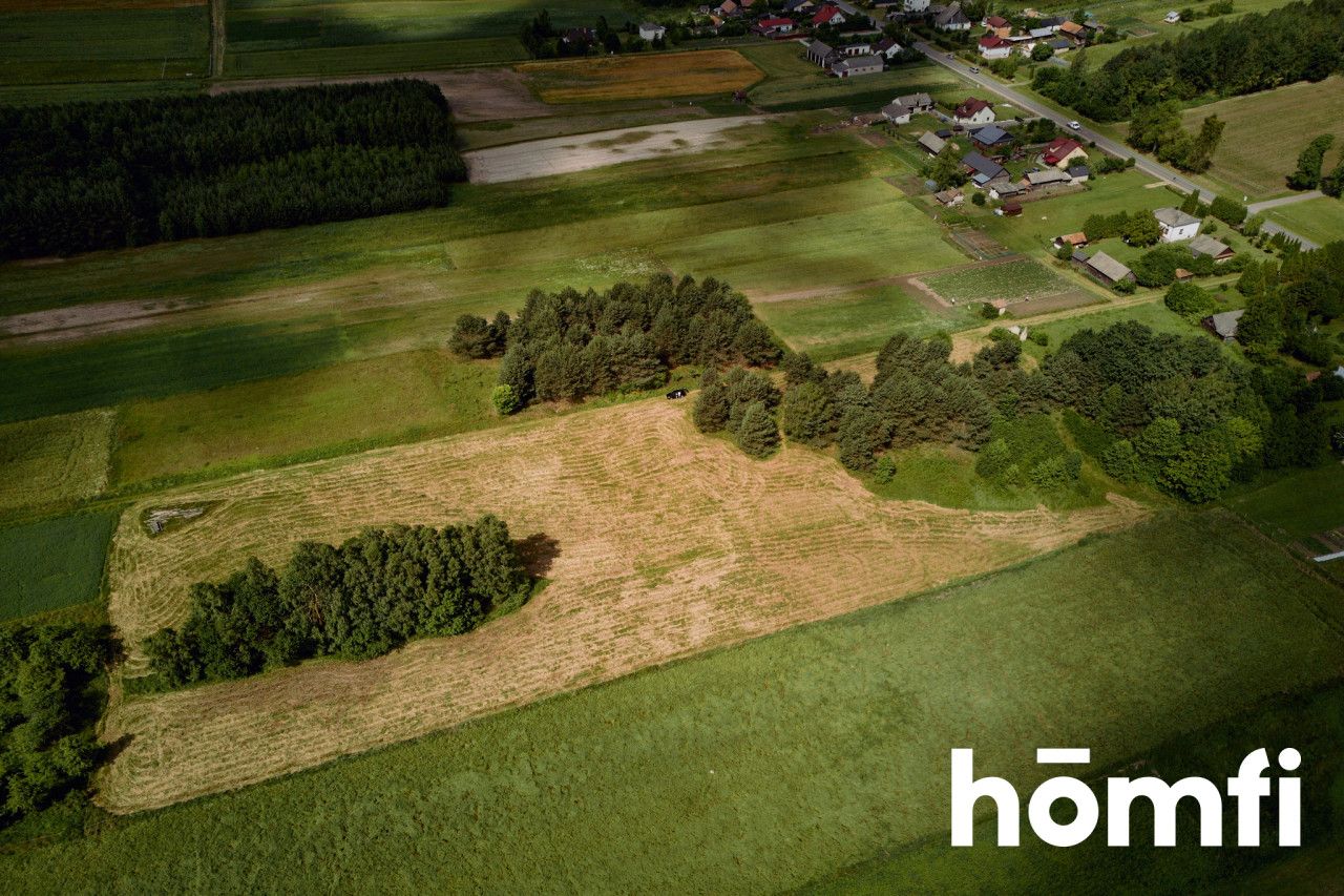 Large plot Kosobudy - Ділянка - Продаж - Zamojski, Zwierzyniec / Kosobudy