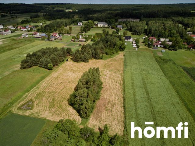 Duża działka Kosobudy - Działka - Sprzedaż - Zamojski, Zwierzyniec / Kosobudy