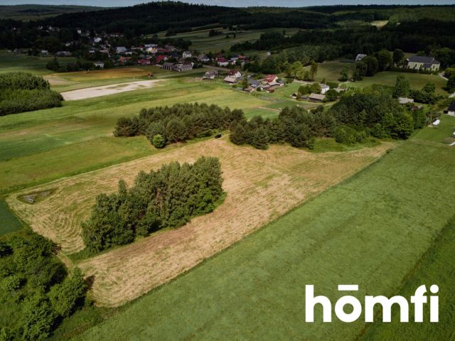 Duża działka Kosobudy - Działka - Sprzedaż - Zamojski, Zwierzyniec / Kosobudy