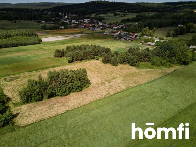 Duża działka Kosobudy - Działka - Sprzedaż - Zamojski, Zwierzyniec / Kosobudy