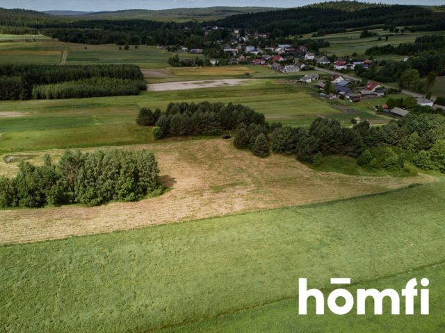 Duża działka Kosobudy - Działka - Sprzedaż - Zamojski, Zwierzyniec / Kosobudy