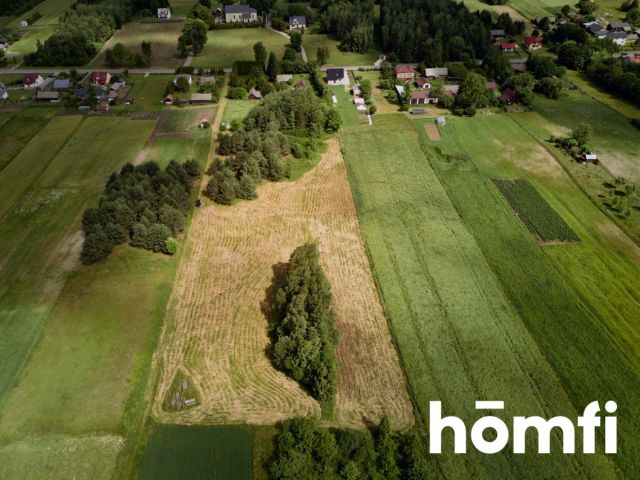 Large plot Kosobudy - Ділянка - Продаж - Zamojski, Zwierzyniec / Kosobudy
