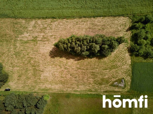 Large plot Kosobudy - Ділянка - Продаж - Zamojski, Zwierzyniec / Kosobudy