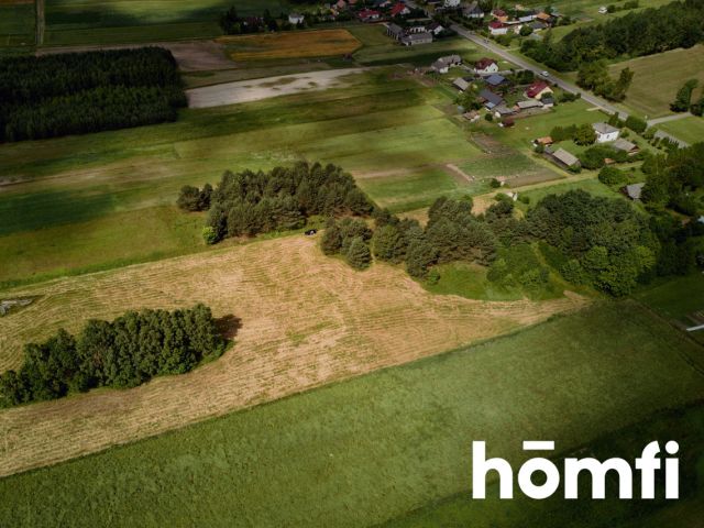 Large plot Kosobudy - Ділянка - Продаж - Zamojski, Zwierzyniec / Kosobudy