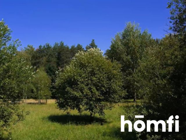 Unikatowe 39 arów z PnB i projektem - Działka - Sprzedaż - Grodziski, Żabia Wola / Władysławów