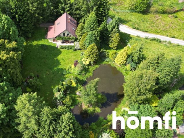 Nature Lover’s Dream – Quiet Home with Stream, Pond & Garden Oasis - House - Sale - Kłodzki, Bystrzyca Kłodzka / Paszków
