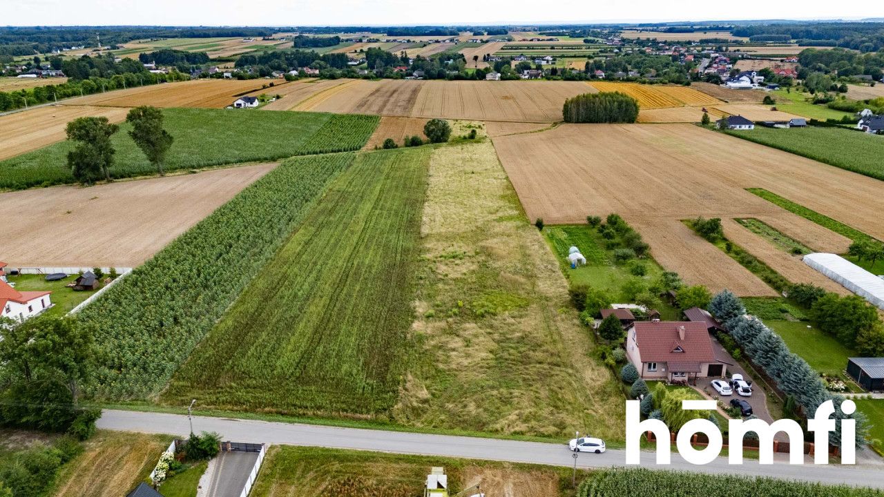 Ready for building plot with all media into a main road - Plot - Sale - Radomski, Zakrzew / Kresy