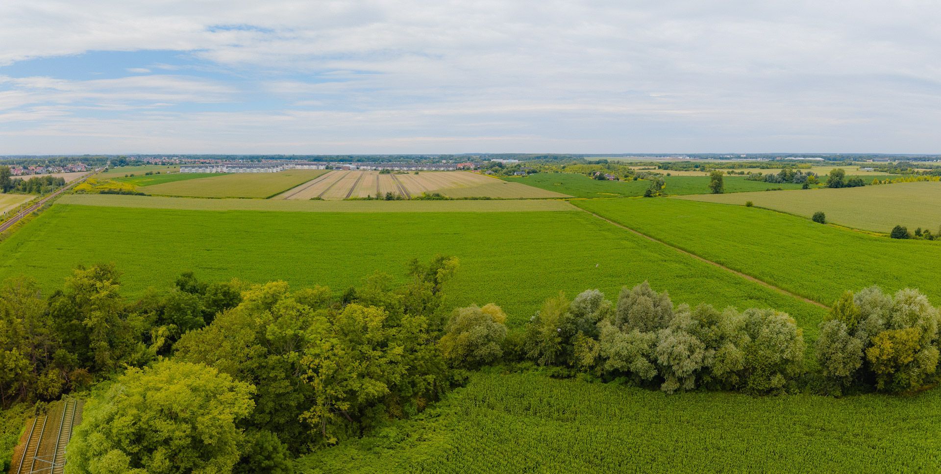 Teren ok.8ha | Obszar Przemysłowy, Muchobór Wielki - Działka - Sprzedaż - Wrocław, Fabryczna / Muchobór Wielki