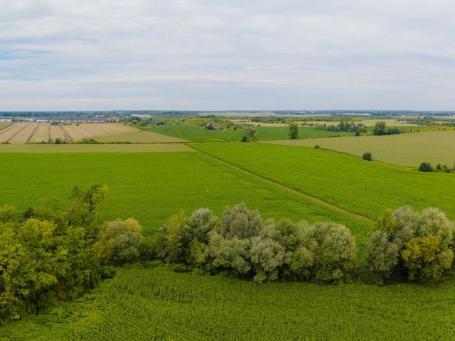 Teren ok.8ha | Obszar Przemysłowy, Muchobór Wielki - Działka - Sprzedaż - Wrocław, Fabryczna / Muchobór Wielki