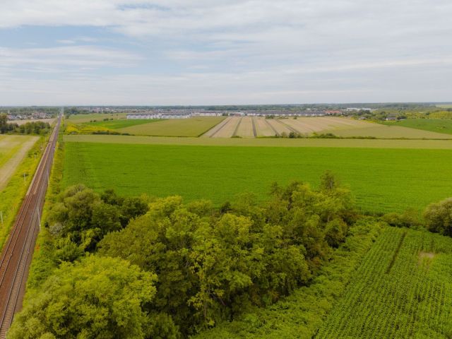 Działka 10297 m2 | Obszar Przemysłowy, Muchobór Wielki - Działka - Sprzedaż - Wrocław, Fabryczna / Muchobór Wielki