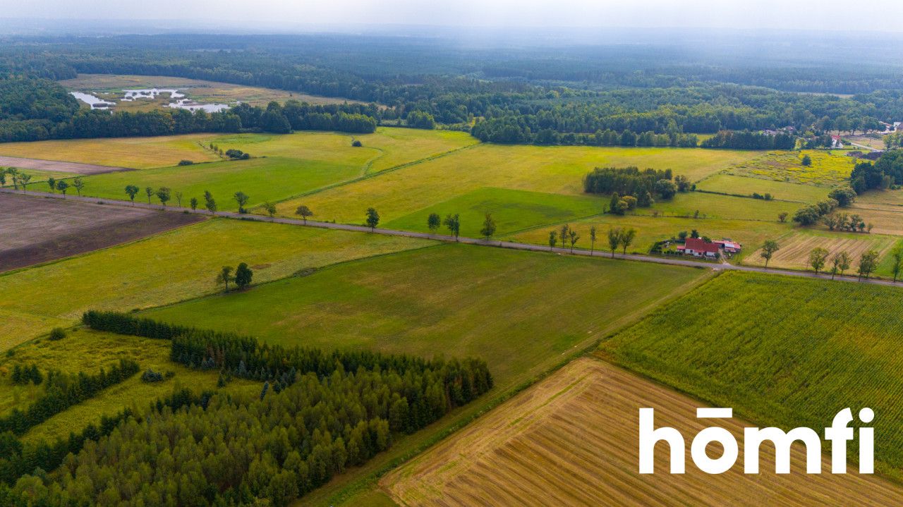 Na sprzedaż działka 2,24 ha | MPZP - Działka - Sprzedaż - Milicki, Krośnice / Grabownica