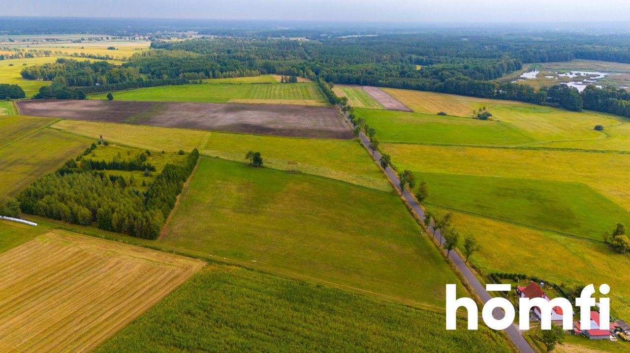 Na sprzedaż działka 2,24 ha | MPZP - Działka - Sprzedaż - Milicki, Krośnice / Grabownica