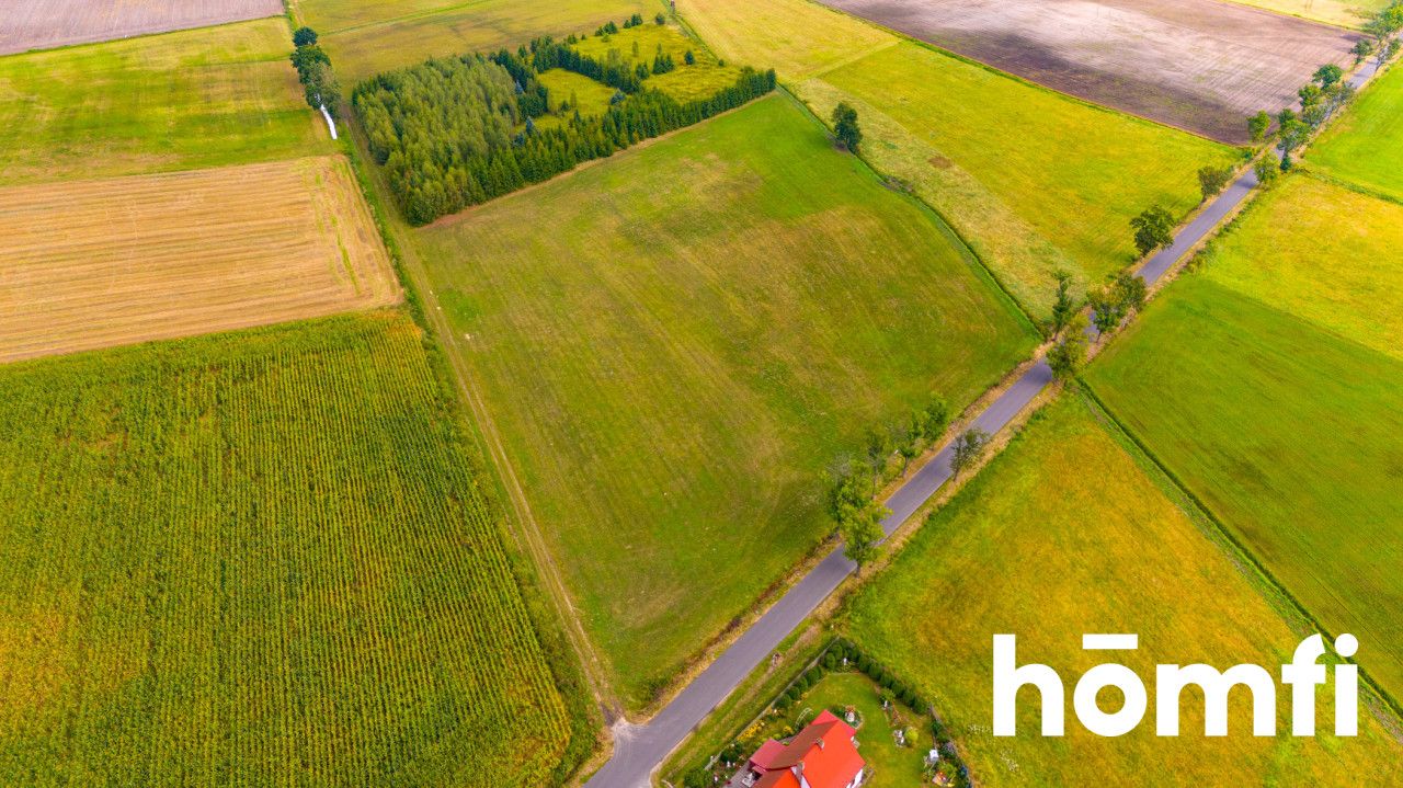 Na sprzedaż działka 2,24 ha | MPZP - Działka - Sprzedaż - Milicki, Krośnice / Grabownica