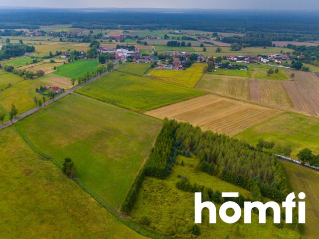 Na sprzedaż działka 2,24 ha | MPZP - Działka - Sprzedaż - Milicki, Krośnice / Grabownica