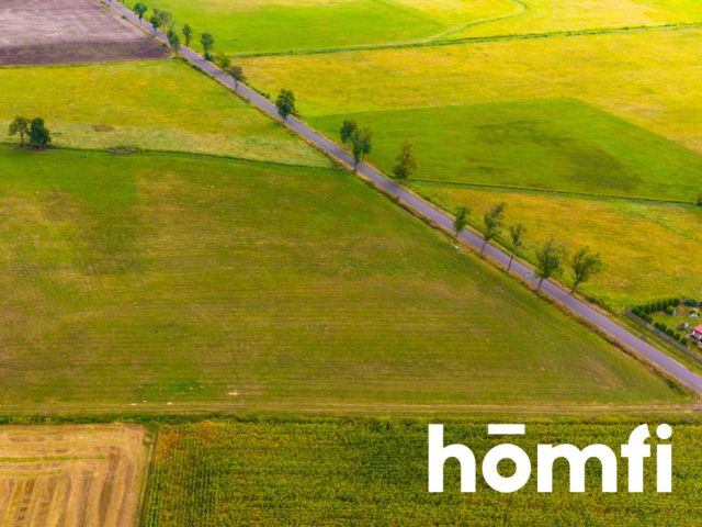 Na sprzedaż działka 2,24 ha | MPZP - Działka - Sprzedaż - Milicki, Krośnice / Grabownica