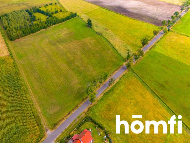 Na sprzedaż działka 2,24 ha | MPZP - Działka - Sprzedaż - Milicki, Krośnice / Grabownica