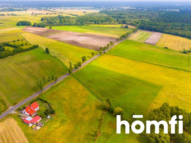 Na sprzedaż działka 2,24 ha | MPZP - Działka - Sprzedaż - Milicki, Krośnice / Grabownica