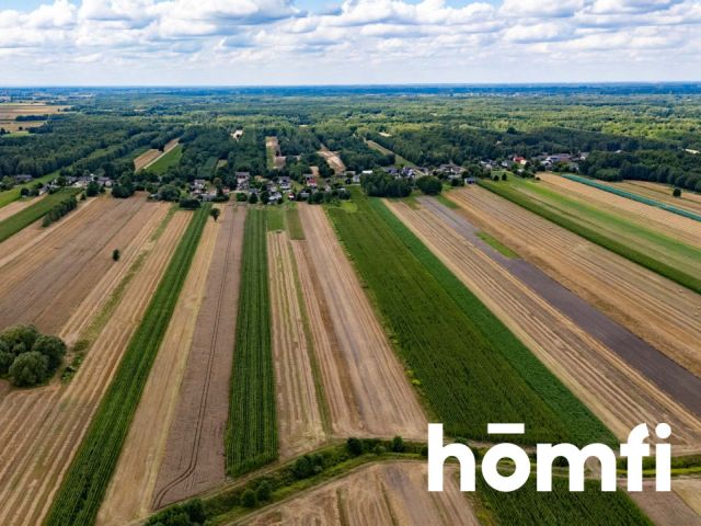 Gospodarstwo z domem do remontu, stodołą i dużą działką rolną i leśną - Dom - Sprzedaż - Zwoleński, Tczów / Lucin